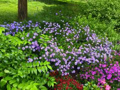 -国家植物园南园