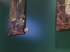 -烹然四季椰子鸡火锅(姚家园万象汇店)