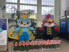 -德宏芒市国际机场