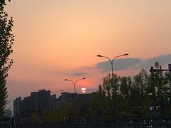 -首都医科大学附属北京天坛医院