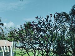 -雾山韩式烤肉·海南糟粕&椰子鸡火锅·海景餐厅(三亚绿发山海天JW万豪酒店)