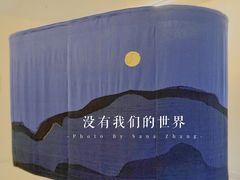 -胶囊画廊