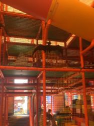 -寻石问宝研学亲子乐园(朝阳公园店)