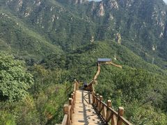 -大岭沟猕猴桃谷风景区