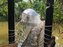 -大树头森林餐厅(番禺广场店)