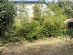 -柴米油盐(土菜院子店)