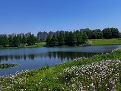 -洋湖国家湿地公园