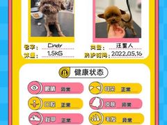 -BABIT巴比特宠物(MOMOPARK店)