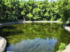 -黑龙江省森林植物园