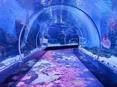 -顺德南宏海立方海洋公园