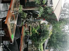-尽善百年古院餐厅(王家老宅店)