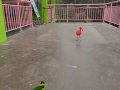 -宁波野生动物园