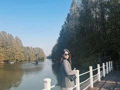 -上海海湾国家森林公园