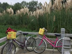 -贵阳市花溪国家城市湿地公园