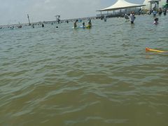 -碧海金沙