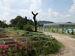 景点-长洲岛都市农业公园
