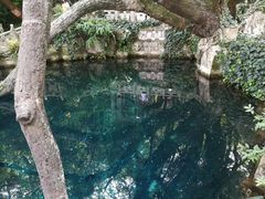 -蝴蝶泉公园