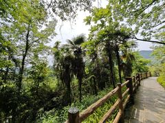 -铜锣山矿山公园