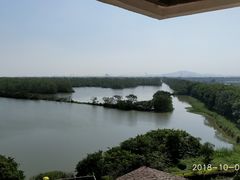 -大湾区中央湿地公园
