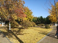 -大连理工大学(凌水校区)