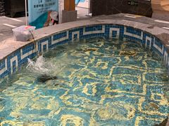 -弘安丽水温泉酒店