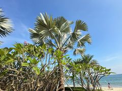 -深圳大梅沙京基洲际度假酒店