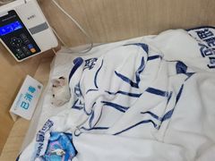 -北京观赏动物医院·24小时大型综合·猫专科·异宠专科
