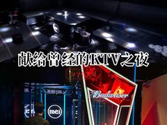 -有喵·猫咖·狗咖·30几只猫10只小狗(岗厦店)
