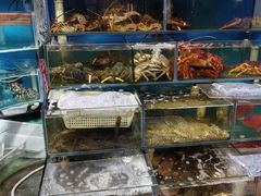 -岳各庄批发市场(西四环中路店)