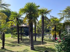 -瑞博尔花园酒店(太周创新产业园店)