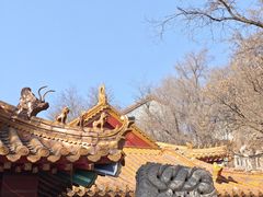 -高尔山公园