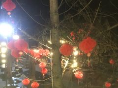 -楠柏弯休闲山庄(梨花溪店)