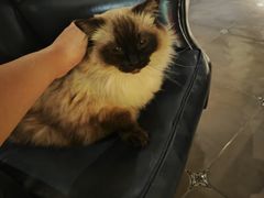 -Estaeslavida分享茄雪茄吧(亿彩购物中心店)