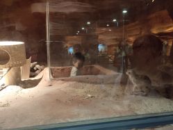 -酷嗒动物文化乐园(cutezoo西溪乐天城店)