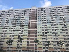 -彩虹村