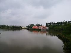 -上海长兴岛郊野公园