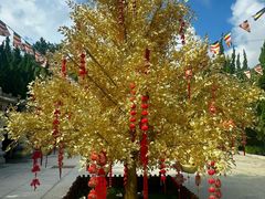 -石岛赤山风景区