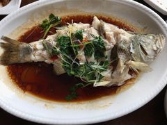清蒸鲈鱼-浦江餐饮•上海菜馆(五四路店)