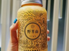 -野萃山·潮汕厚果汁(十亩地店)