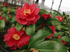 -星湖街(地铁站)