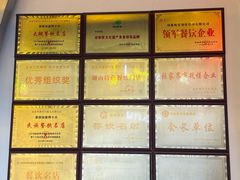 -印象鲵宴·张家界地标美食名片(溪布街店)