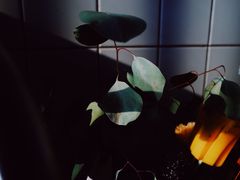 -咖啡·湖(德清店)
