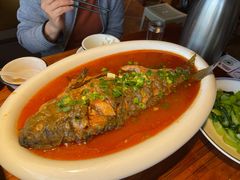 -老雒阳面馆·水席(洛宁高速路口店)