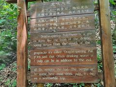 -本溪汤沟绿石谷森林公园
