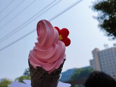 -麦当劳(花园北路店)