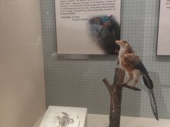 -辽宁古生物博物馆