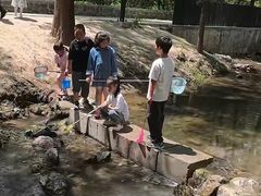 -白水寺森林公园