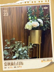 点击看大图 -东森自然美.INDIBA.美容SPA.皮肤管理