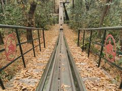 -东湖磨山景区