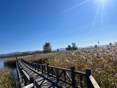 -野鸭湖国家湿地公园